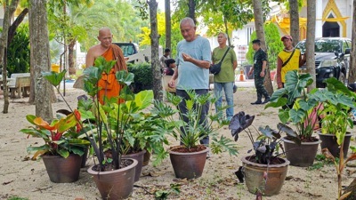 The Royal Thai Army, in collaboration with Nongnooch Garden Pattaya, creates garden designs within temples and mosques as a symbol of unity.