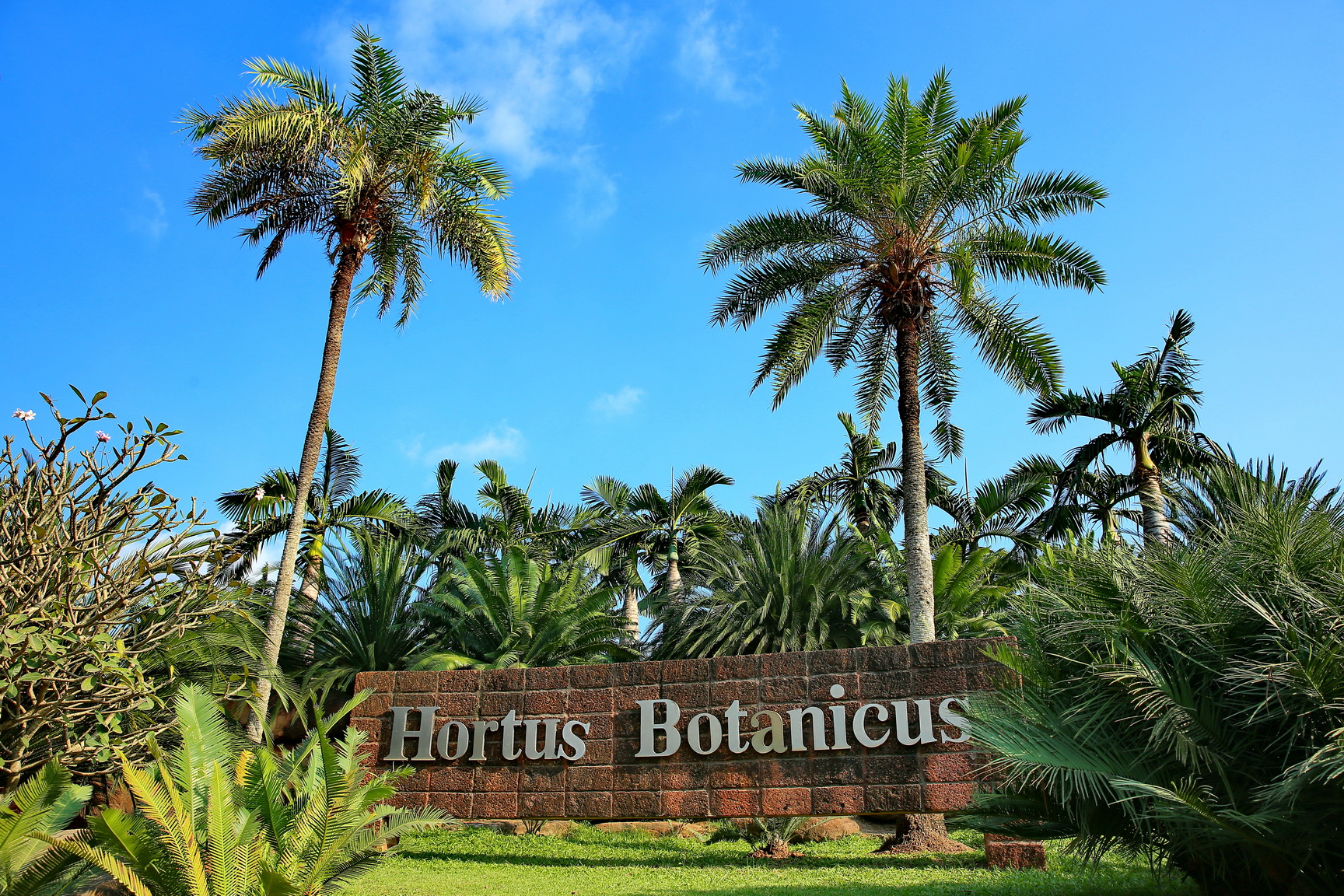 Hortus Botanicus