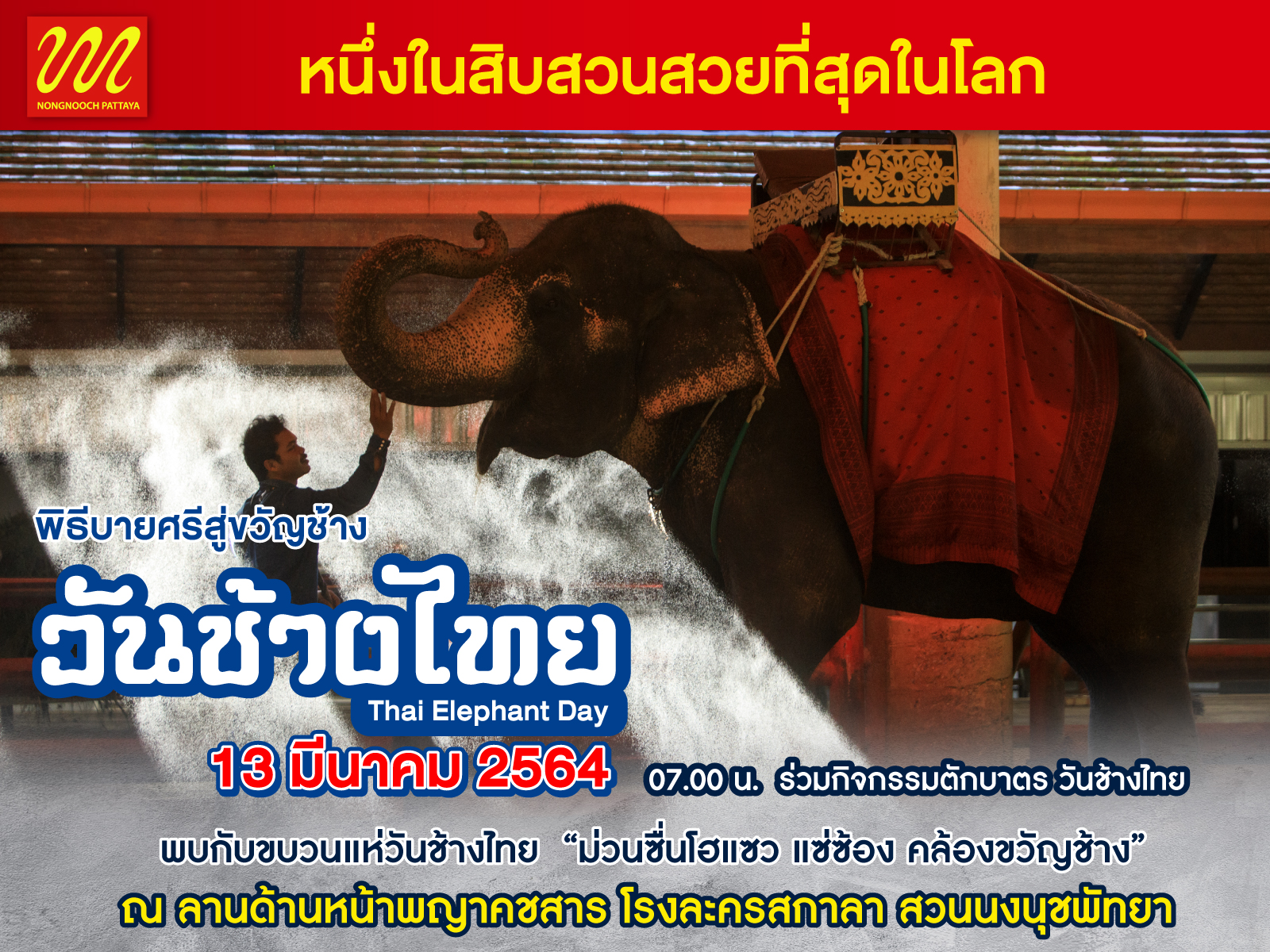 Thai Elephant Day falls on Saturday March 13, of every year. 