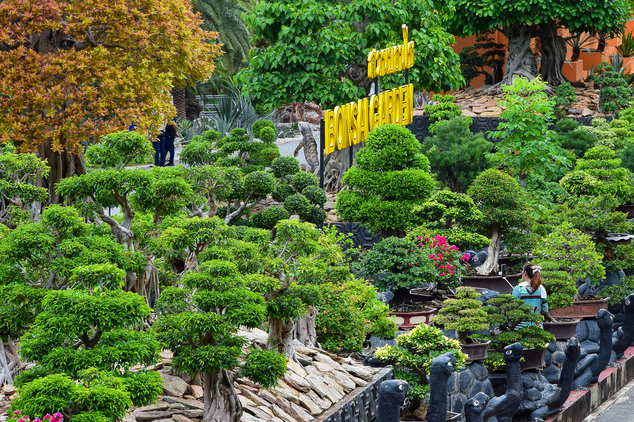 Bonsai Garden