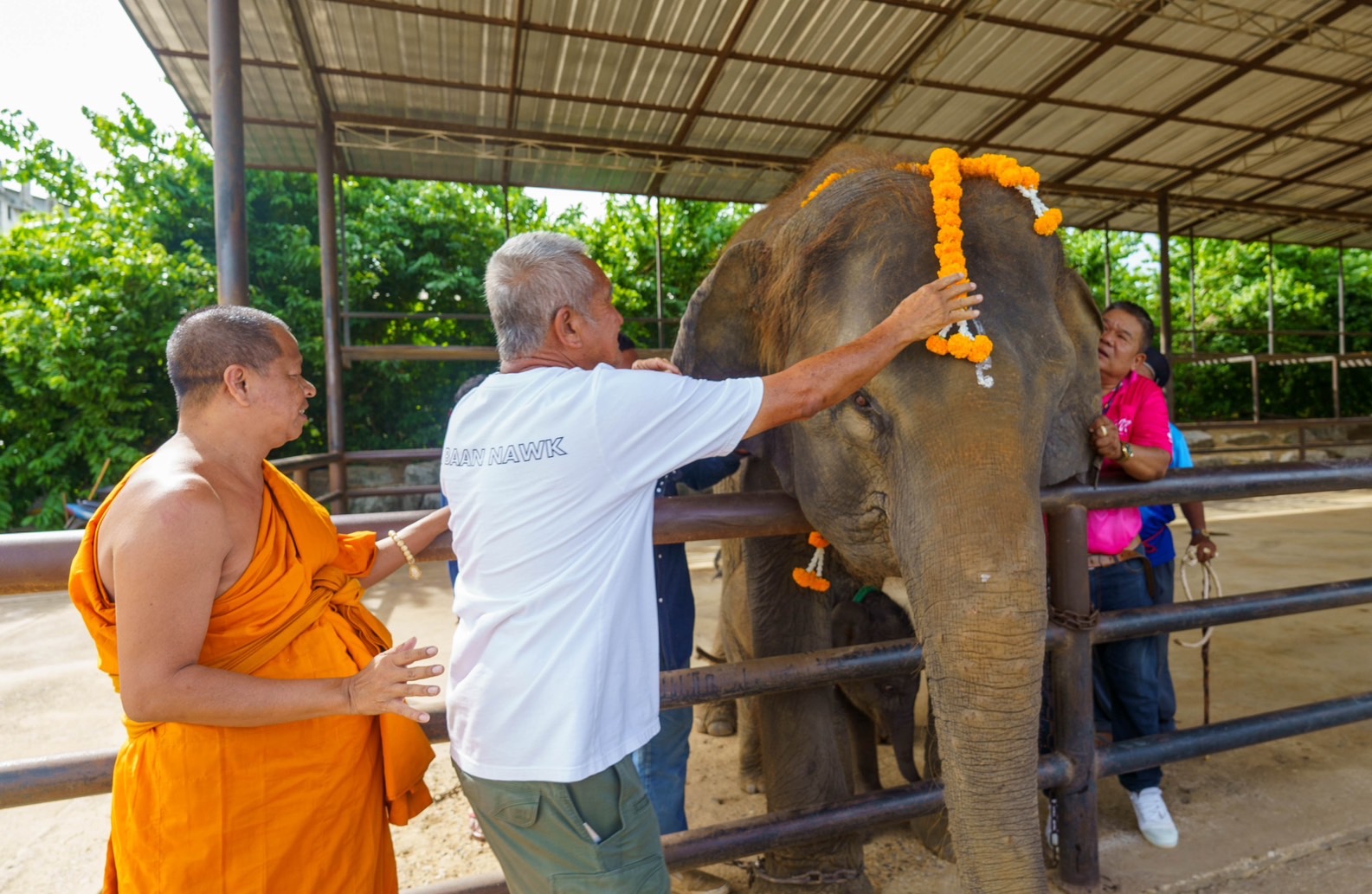 The Nongnooch Pattaya Garden held a grand ceremony to welcome twin baby elephants, born to different mothers.