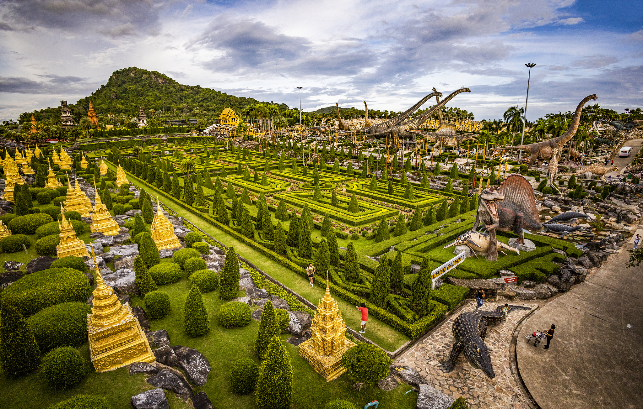 สวนหนองน้อยและรัฐบาลไทย: ความร่วมมือในการอนุรักษ์พืช