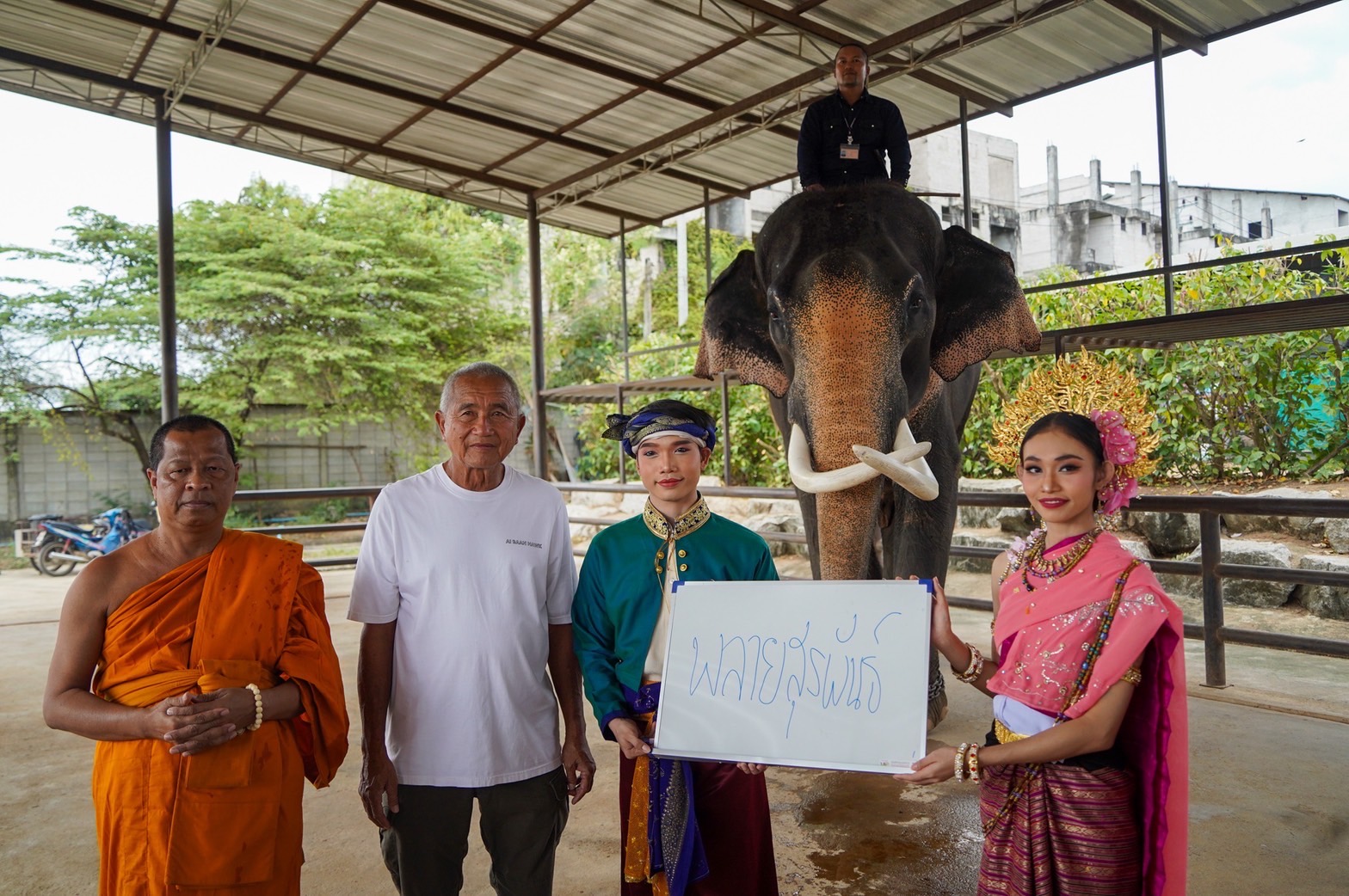 Nongnooch Garden Pattaya Holds Ceremony to Welcome Newborn Elephant from a 27-Year-Old Father with 27 Offspring