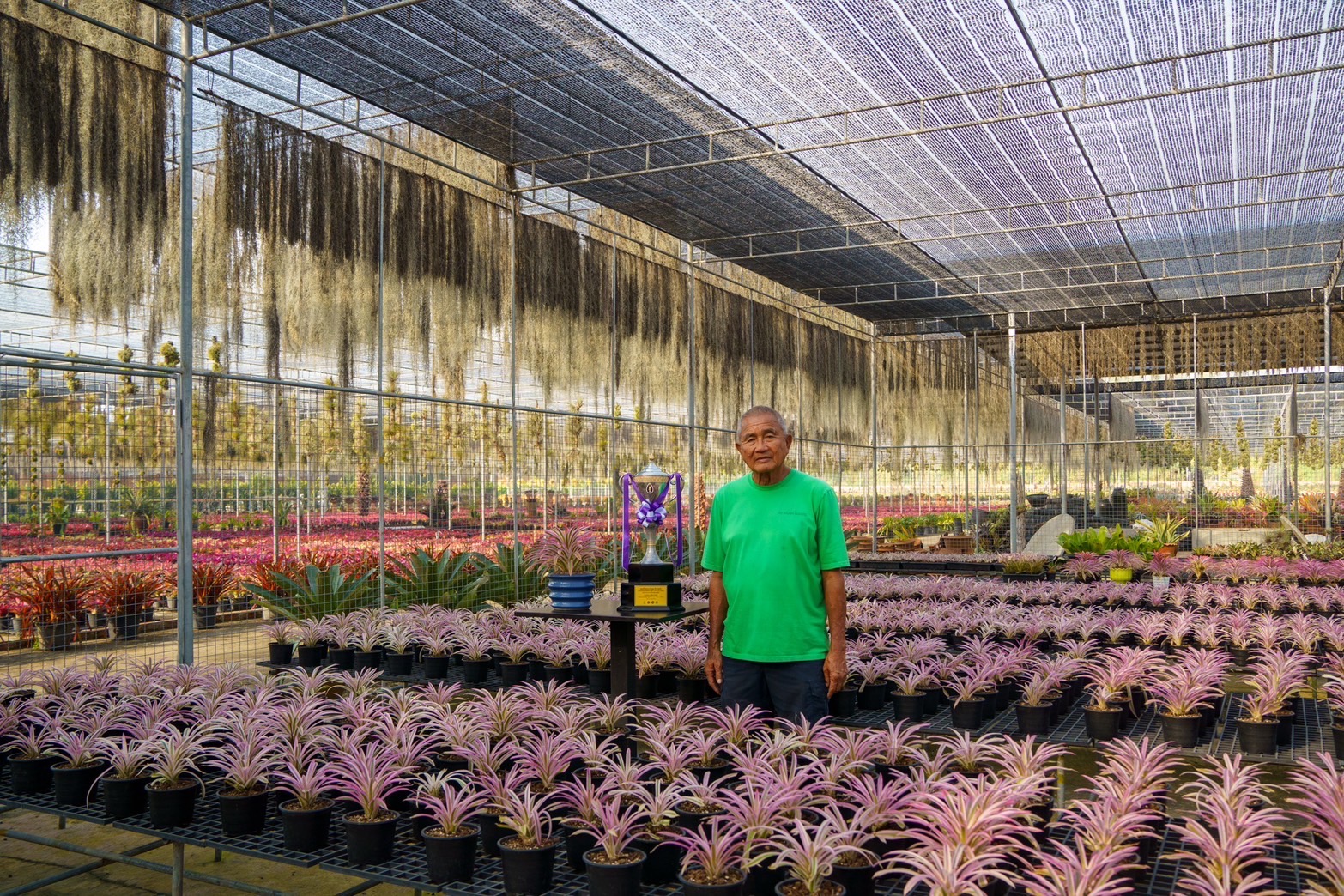 Nongnooch Garden Pattaya Wins the Royal Trophy for Excellence in Bromeliad Competition at the 17th Eastern Floral and Ornamental Plant Fair